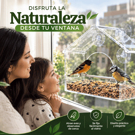 🐦BirdView Pro™ Comedero para Pájaros Transparente
